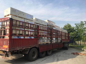 全国道路货物运输行业动态与商情资讯概览